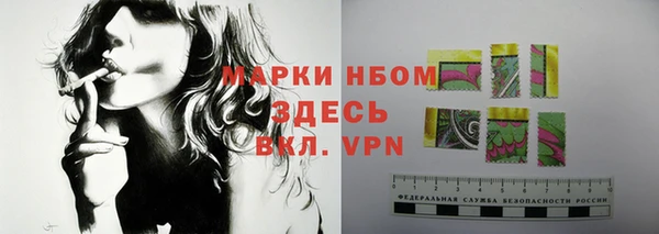 прущий лед Арсеньев