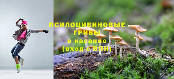 прущий лед Арсеньев