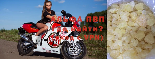бошки Белокуриха